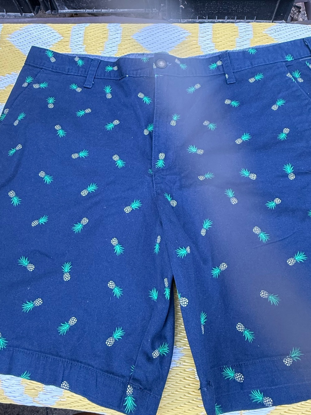 George Navy Shorts with Green Pineapple Embroidery